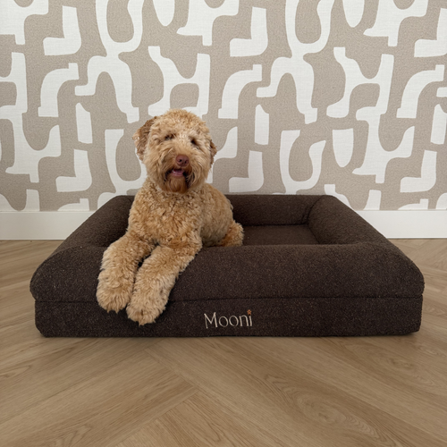 Mooni Orthopedische Hondenmand - Earth Brown